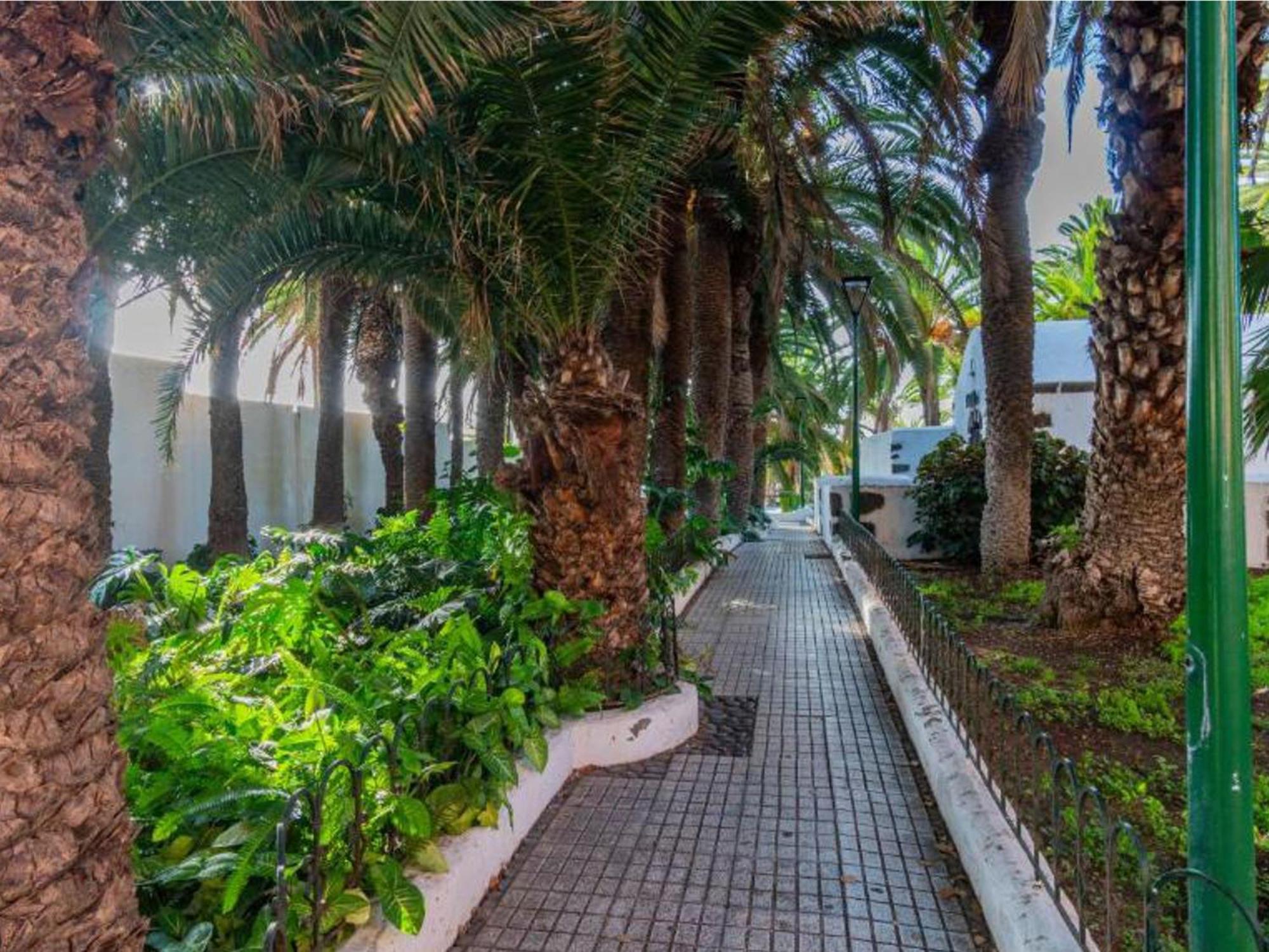 Live Puerto Valle Luz Puerto de la Cruz  Dış mekan fotoğraf